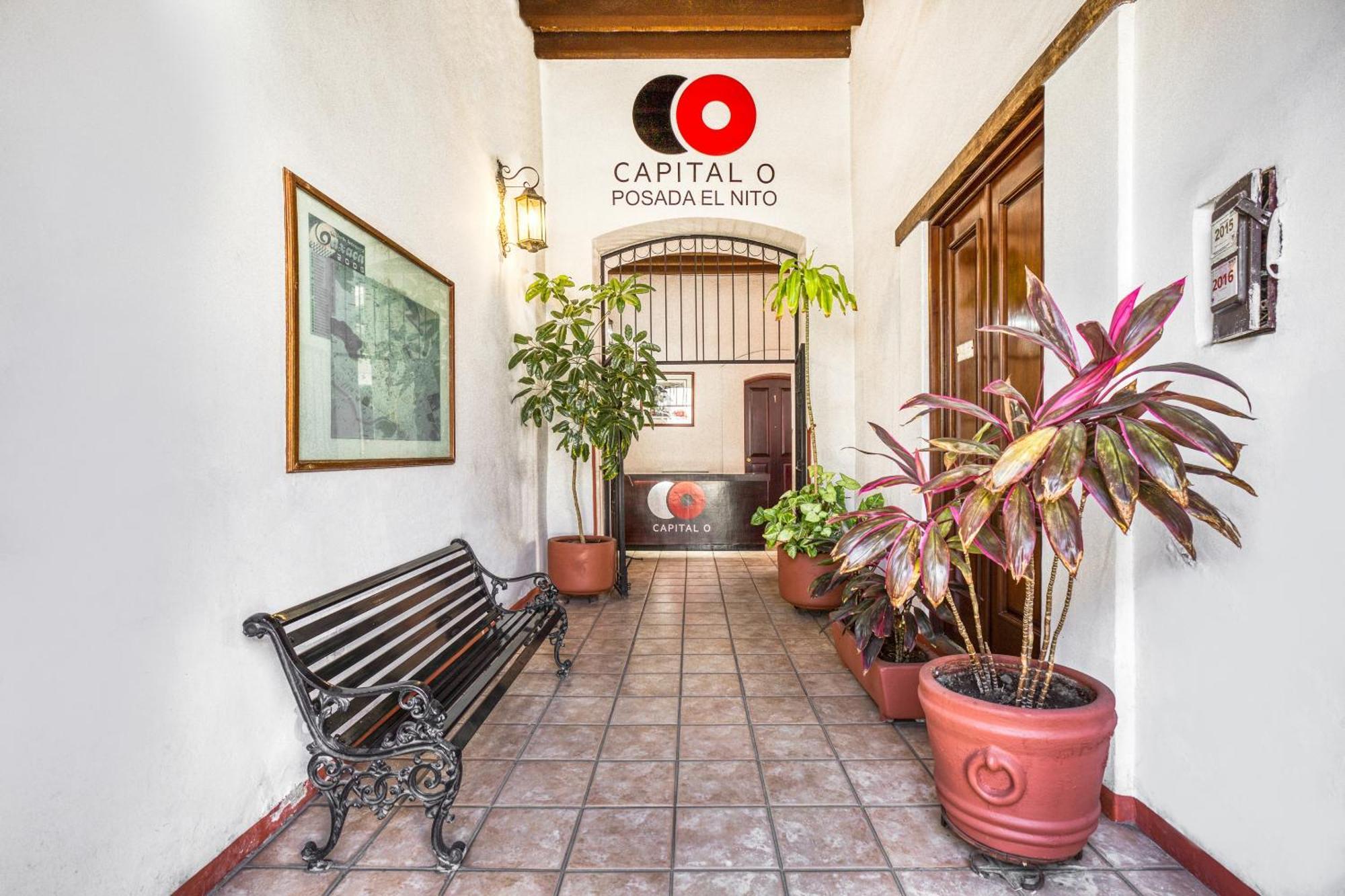 Capital O El Nito Posada Oaxaca Dış mekan fotoğraf